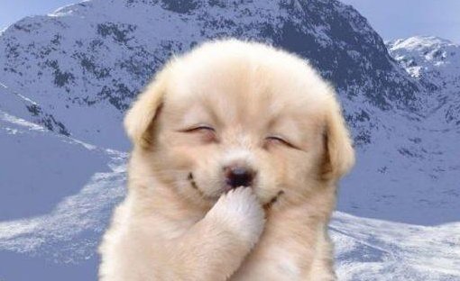 笑眯眯和笑咪咪哪个是对的？