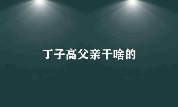 丁子高父亲干啥的