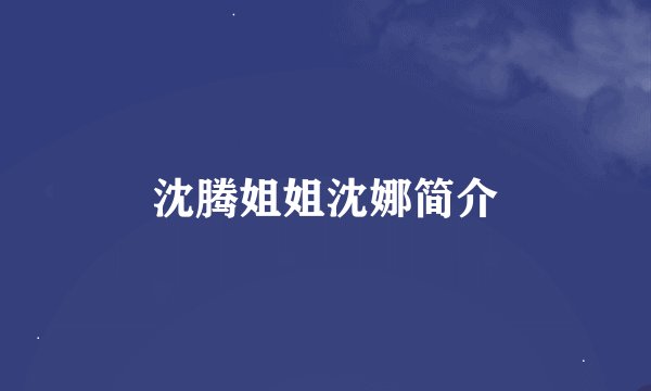 沈腾姐姐沈娜简介