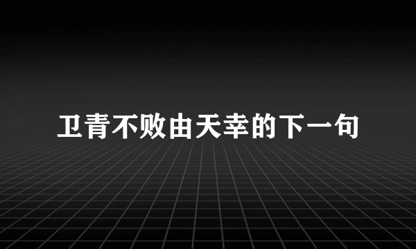 卫青不败由天幸的下一句