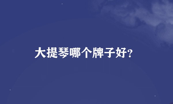 大提琴哪个牌子好？