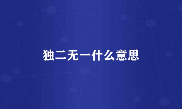 独二无一什么意思