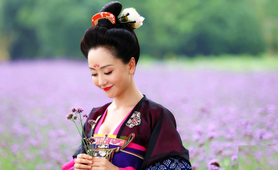 演员杨蓉演过的电视剧