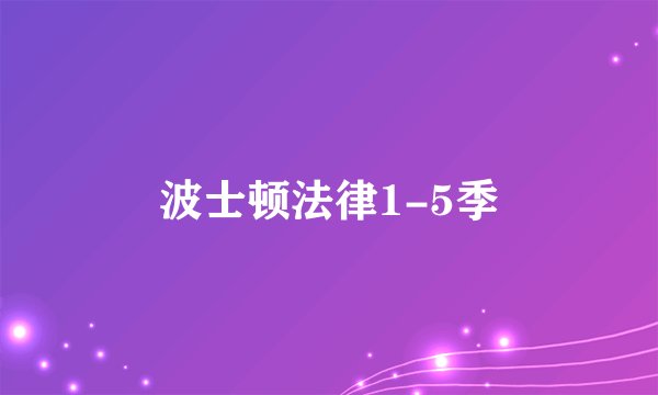 波士顿法律1-5季