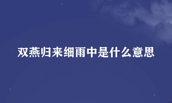 双燕归来细雨中是什么意思