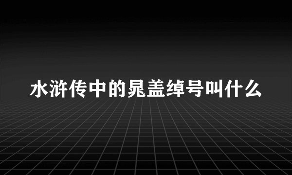 水浒传中的晁盖绰号叫什么