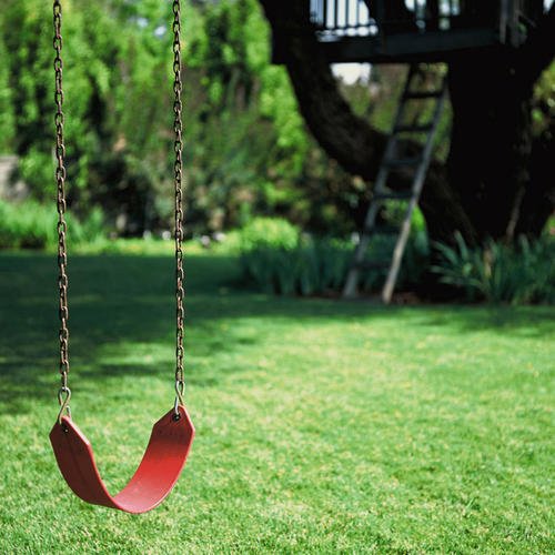 河南一男子在一棵绿化树上“荡秋千”，男子的行为存在哪些隐患？