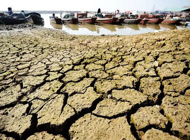 鄱阳湖水位下降鱼搁浅:村民捡鱼打包成箱运走,此举有何安全隐患?