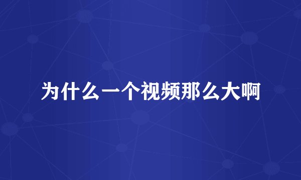 为什么一个视频那么大啊