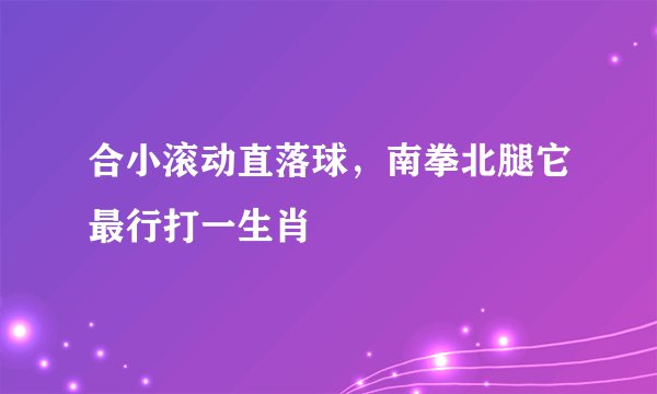 合小滚动直落球，南拳北腿它最行打一生肖