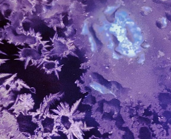 吉林网友拍摄冰窗花以肉眼可见速度形成,当地人是如何应对寒冬的?