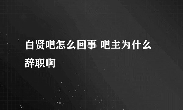 白贤吧怎么回事 吧主为什么辞职啊