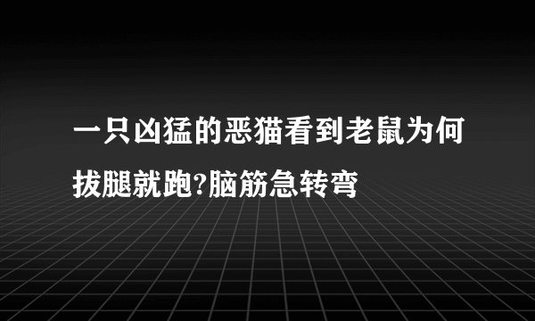 一只凶猛的恶猫看到老鼠为何拔腿就跑?脑筋急转弯