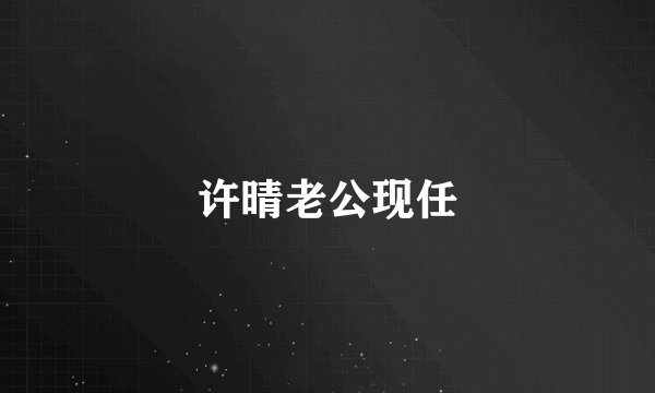 许晴老公现任