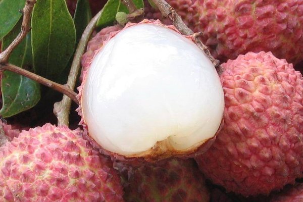 白糖罂和桂味区别