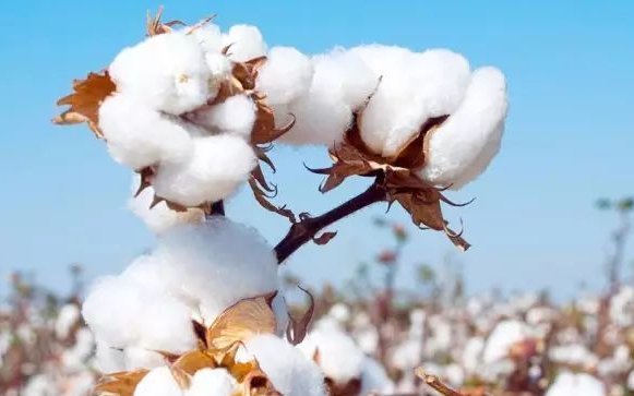 填空题，碧绿碧绿的什么填空。