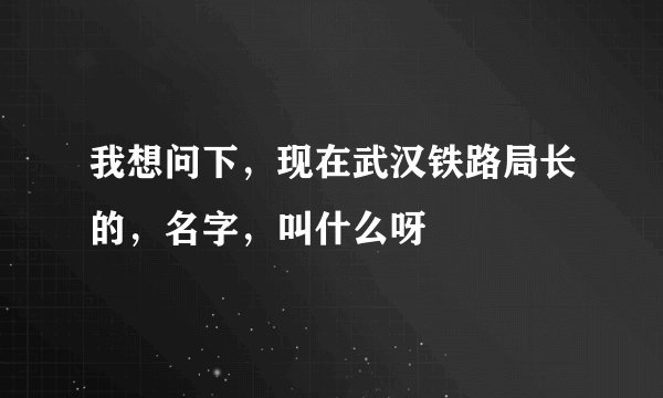 我想问下，现在武汉铁路局长的，名字，叫什么呀