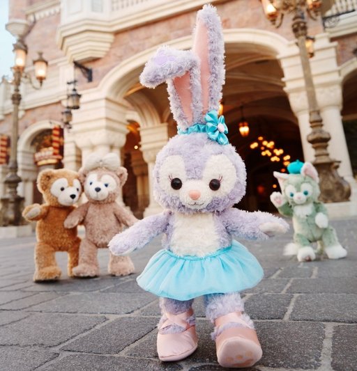 一95后女生收藏数百只星黛露，她收藏星黛露的目的是什么？