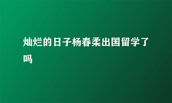 灿烂的日子杨春柔出国留学了吗