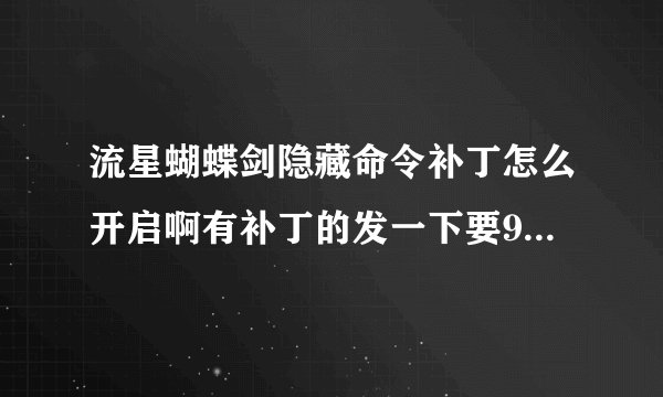 流星蝴蝶剑隐藏命令补丁怎么开启啊有补丁的发一下要9.07的