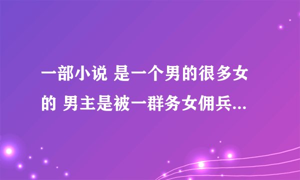 一部小说 是一个男的很多女的 男主是被一群务女佣兵找去一个岛上当类似于保姆的工作的