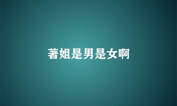 著姐是男是女啊
