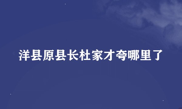 洋县原县长杜家才夸哪里了