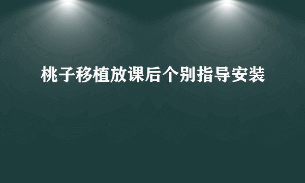 桃子移植放课后个别指导安装