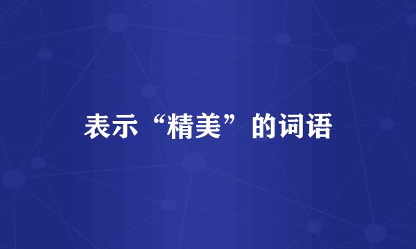 表示“精美”的词语