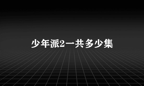 少年派2一共多少集