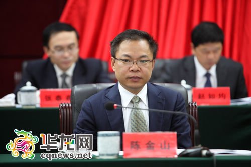 陈金山的个人履历