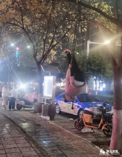 河南一男子在一棵绿化树上“荡秋千”，男子的行为存在哪些隐患？