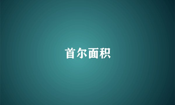 首尔面积