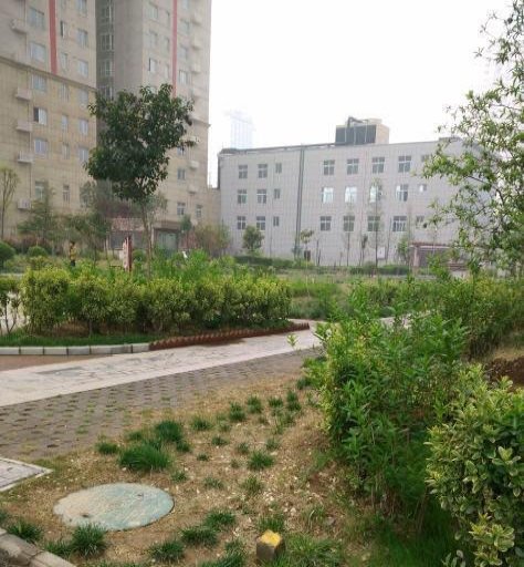 单身女子宿舍遇害，凶手同一小区3天连杀4人是否被抓获？