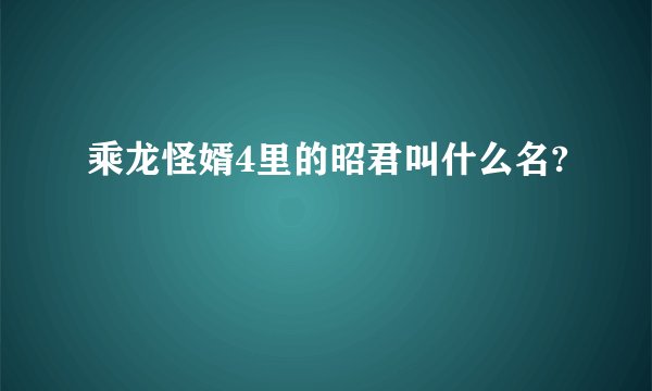 乘龙怪婿4里的昭君叫什么名?