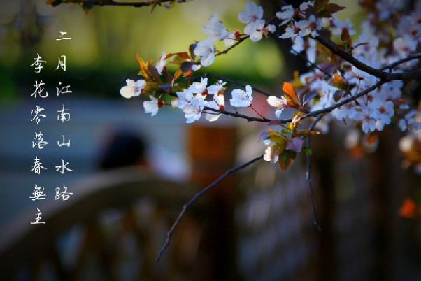 闰二月要给父母买什么