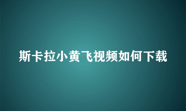 斯卡拉小黄飞视频如何下载