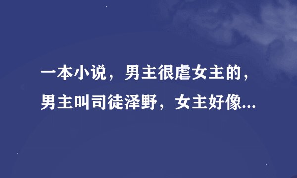 一本小说，男主很虐女主的，男主叫司徒泽野，女主好像叫白云裳的，求书名