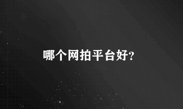哪个网拍平台好？