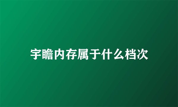 宇瞻内存属于什么档次