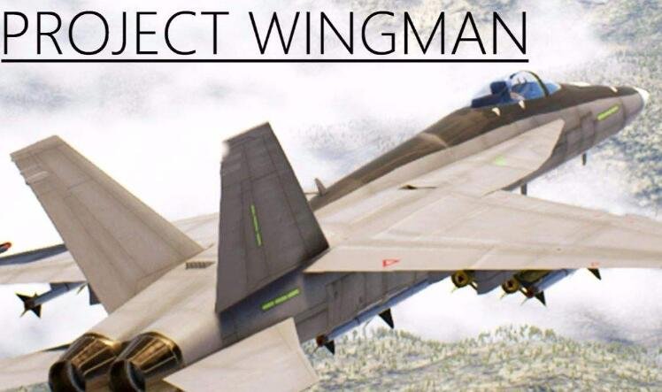 什么是wingman