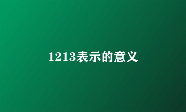 1213表示的意义