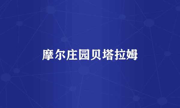 摩尔庄园贝塔拉姆