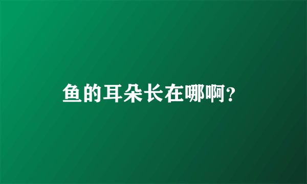 鱼的耳朵长在哪啊？