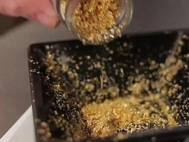 日本蟋蟀食品大受欢迎，是否会成未来的流行趋势？