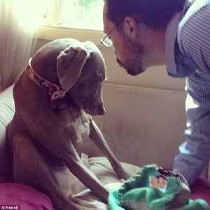 郭宝贤的主要作品