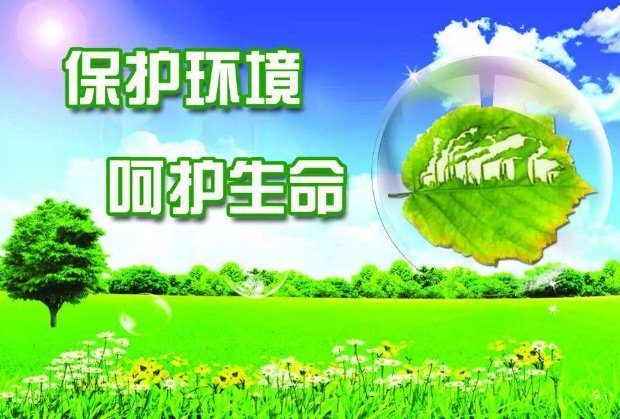 浙江将重奖环境污染问题举报者的原因是什么？