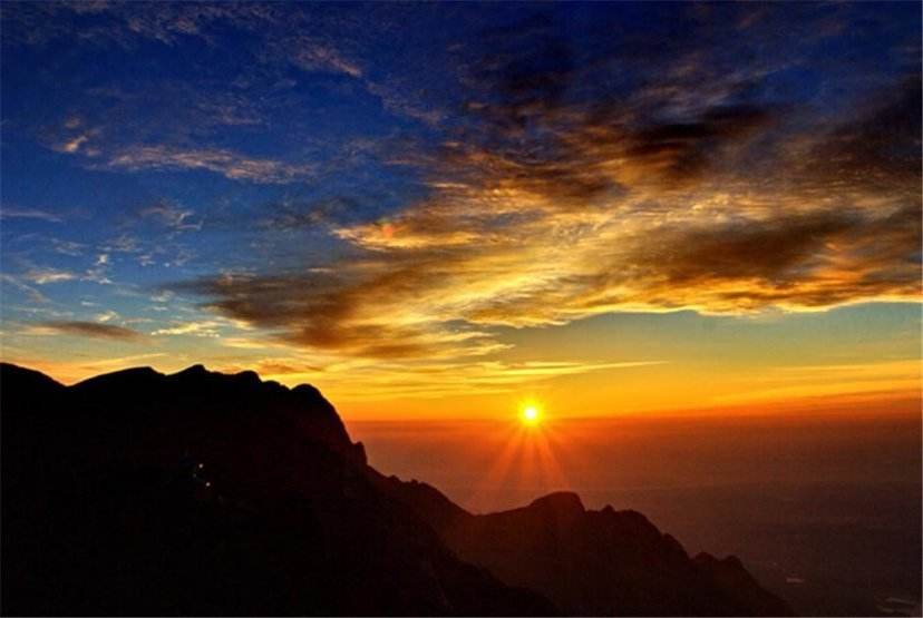 大妈在闹市放羊啃食绿化，为什么她会有如此嚣张的做法？