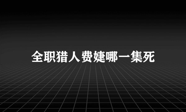 全职猎人费婕哪一集死