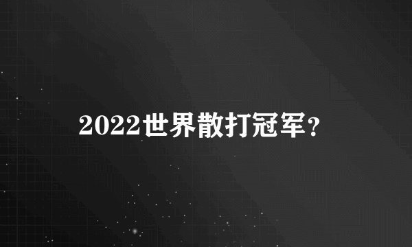 2022世界散打冠军？